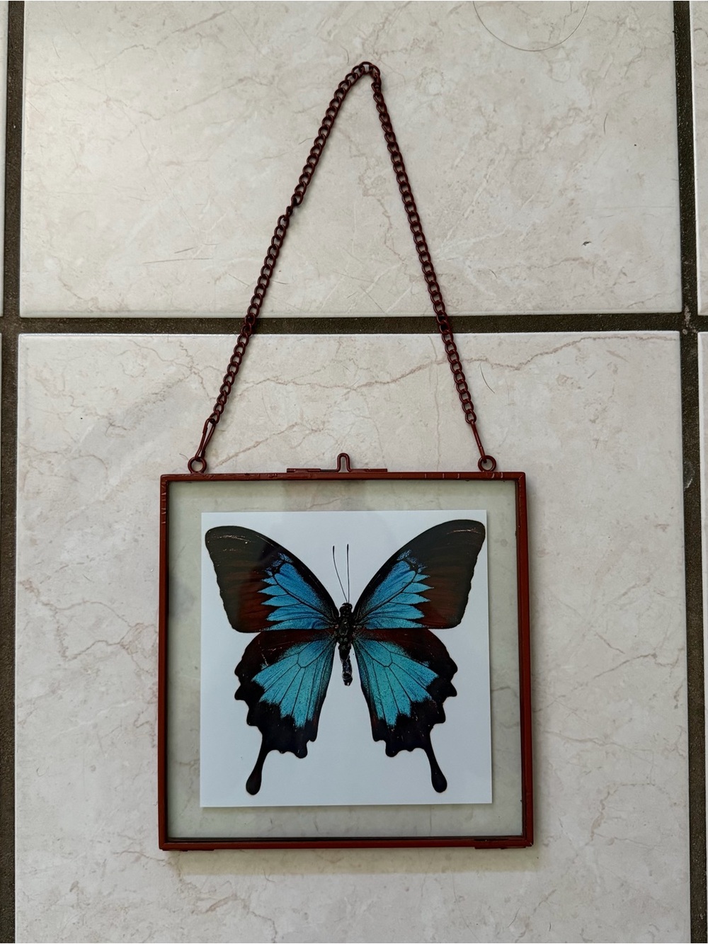 Hanging Metal Photo Frame with Metal Chain.
